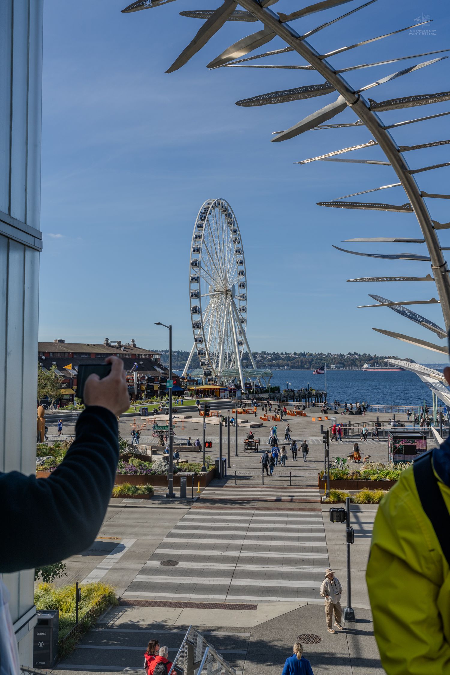 Person photographing Seattle Great Wheel Ferris wheel at waterfront pier through decorative metal sculpture frame.