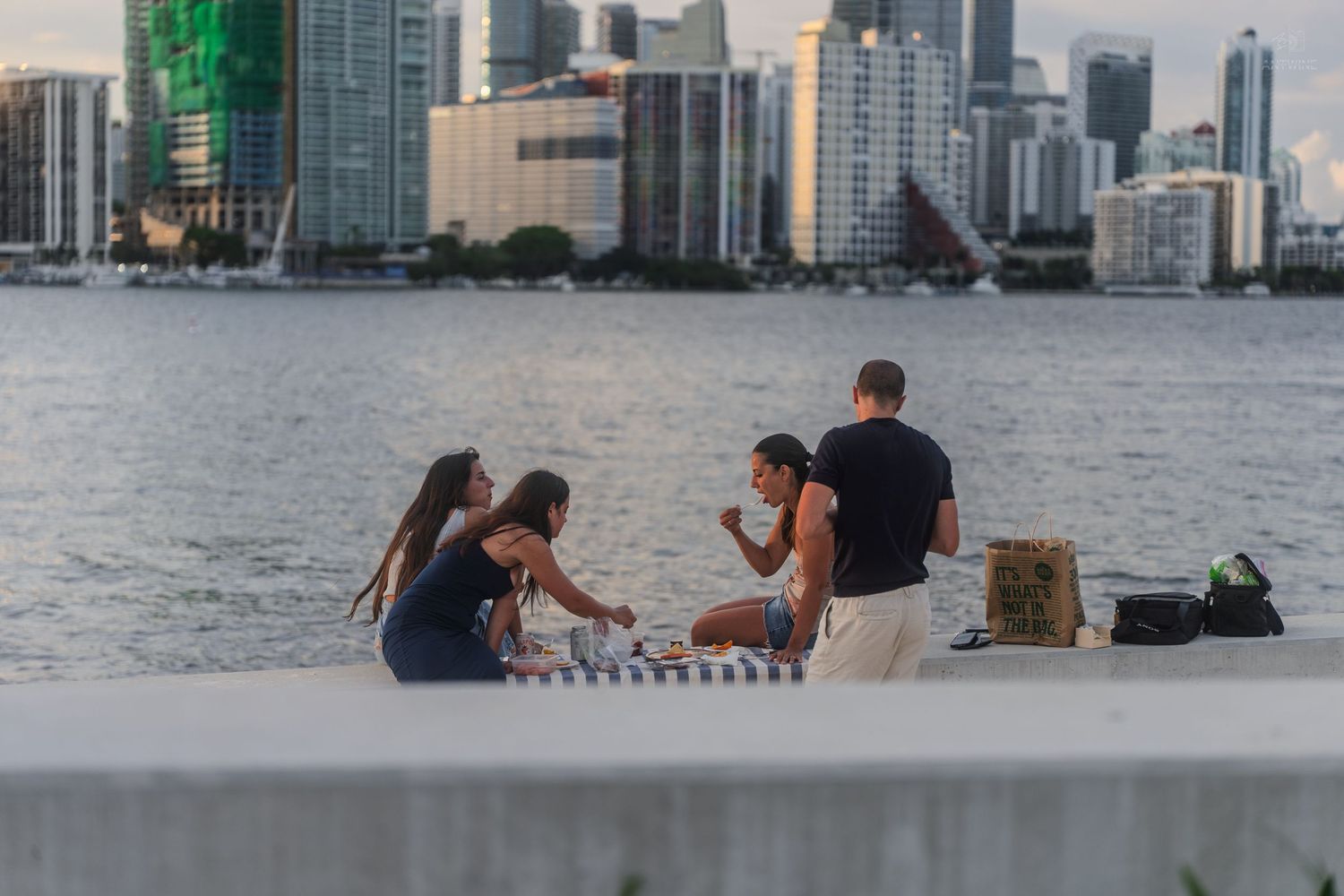 Group of four friends enjoying a picnic on a waterfront seawall with Miami skyline in the background.