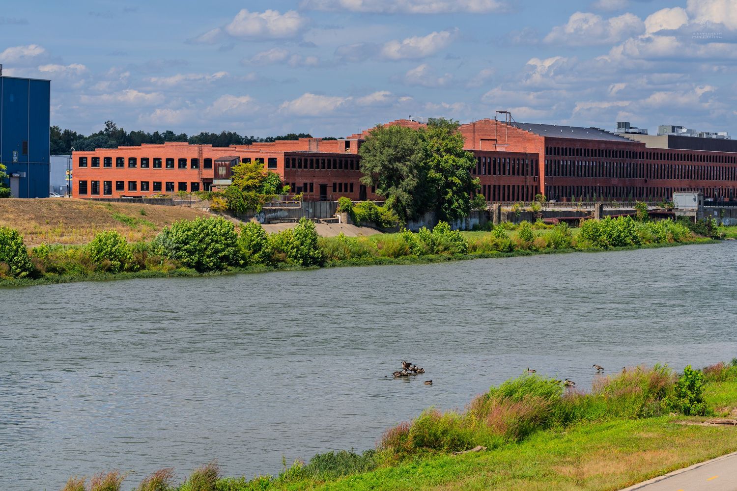Red brick office buildings along a calm river with ducks swimming on a sunny day.