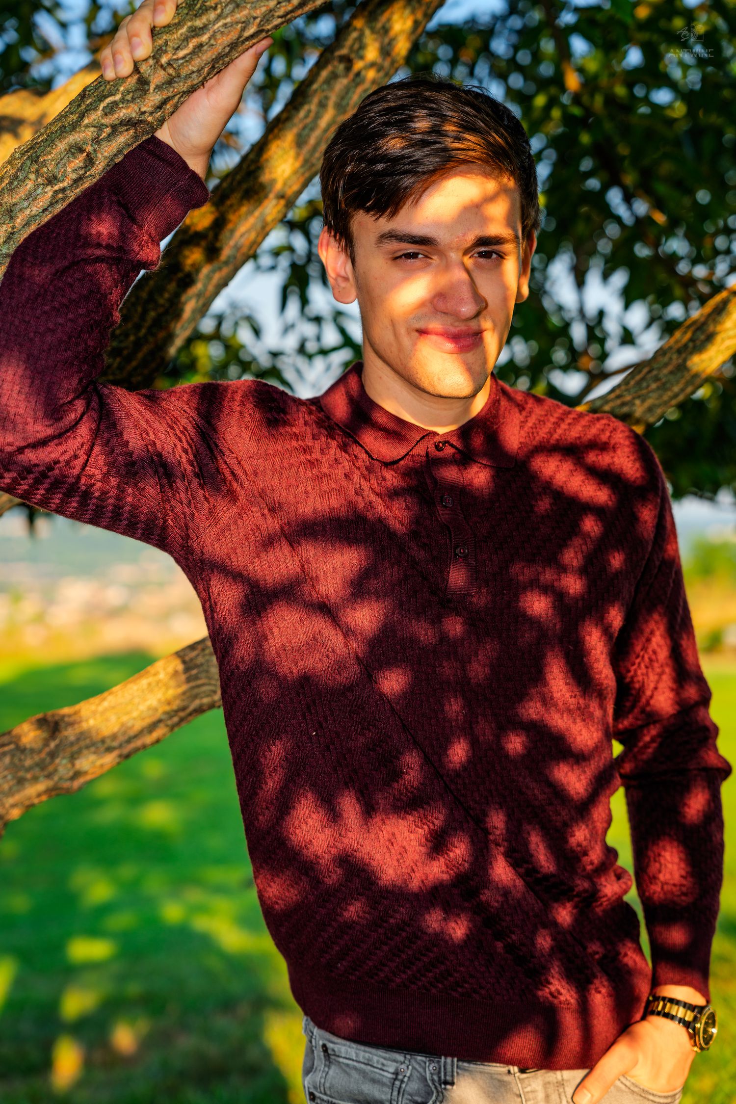 Young man in burgundy sweater leaning against a tree in a sunlit park, with dappled shadows across his face.