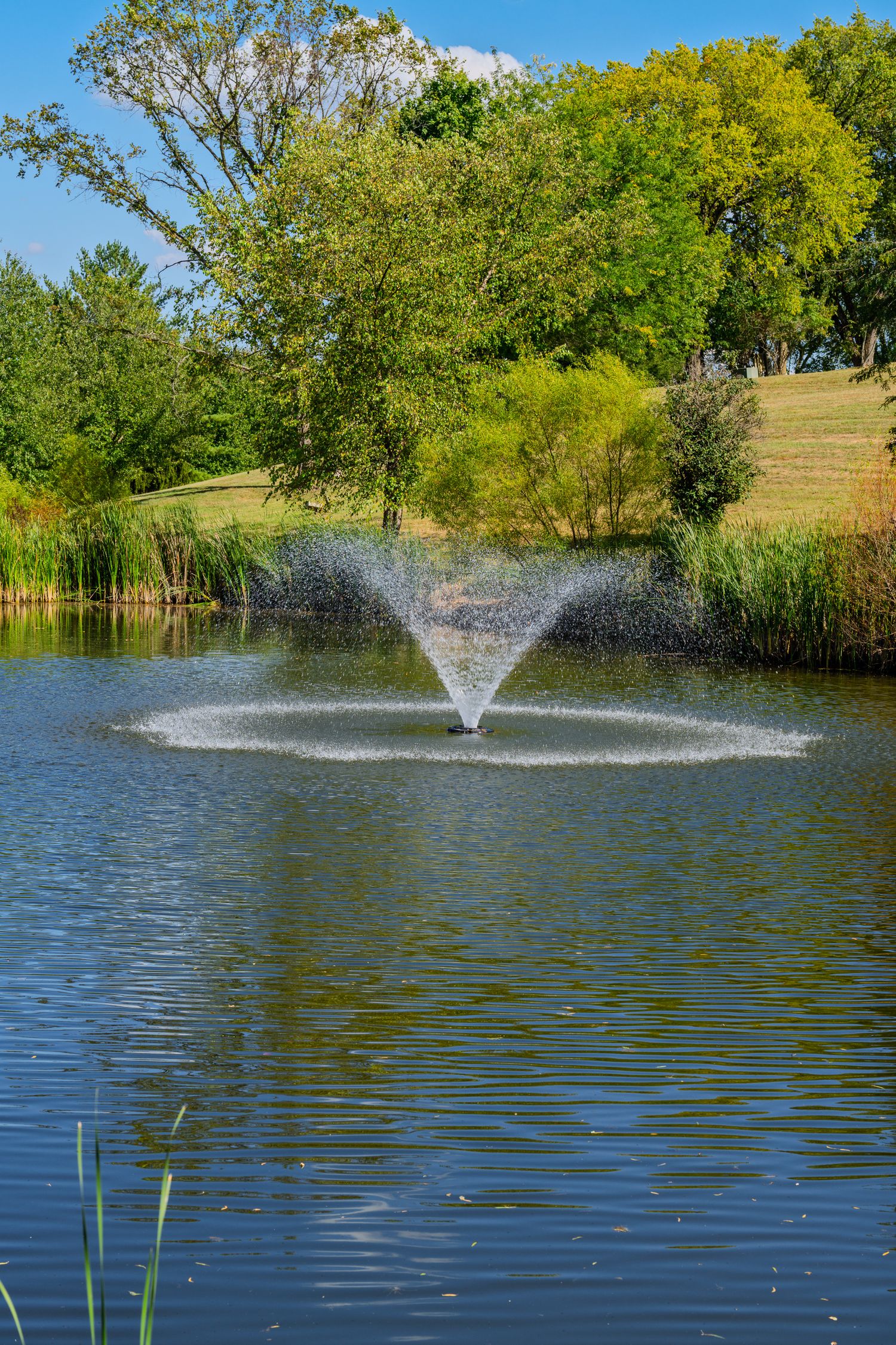 A decorative water fountain sprays in the center of a serene pond surrounded by lush green trees and reeds on a sunny day.