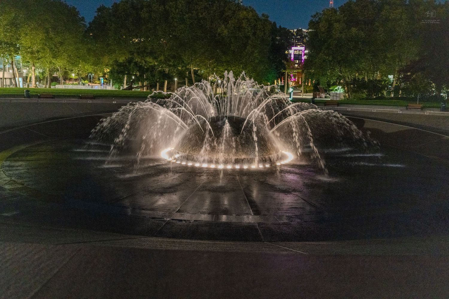 Illuminated fountain with cascading water jets glowing at night in a lush green park with colorful lights in background.