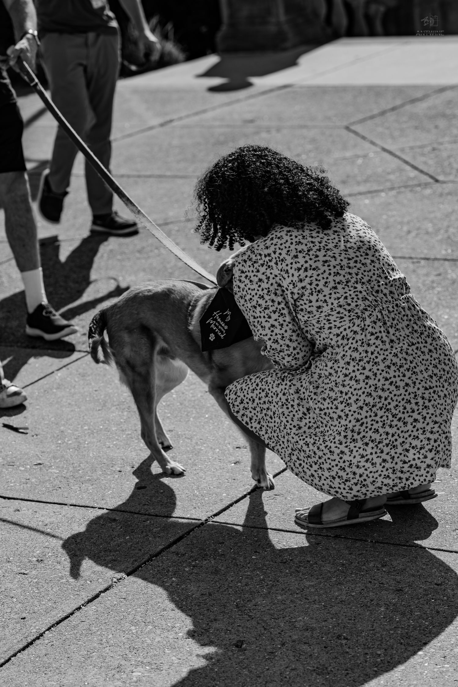 Black and white photo of a curly-haired woman crouching down to pet a small dog on a leash.