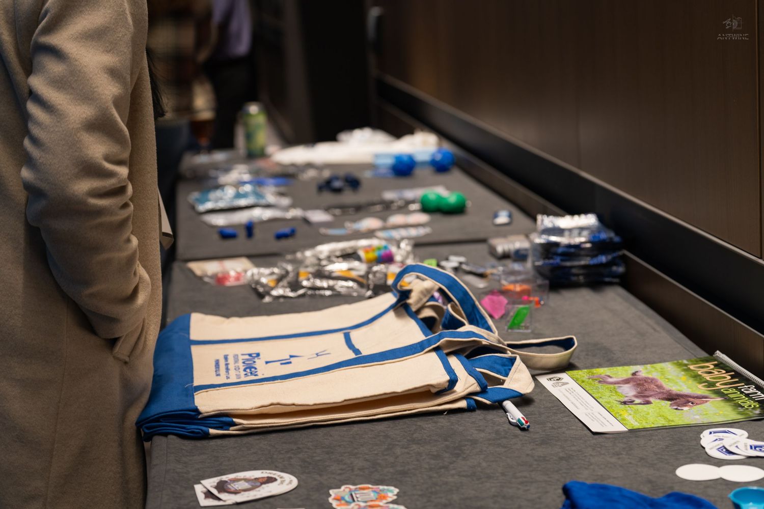 Promotional tote bags and branded merchandise displayed on a table at a credit union conference exhibition area.