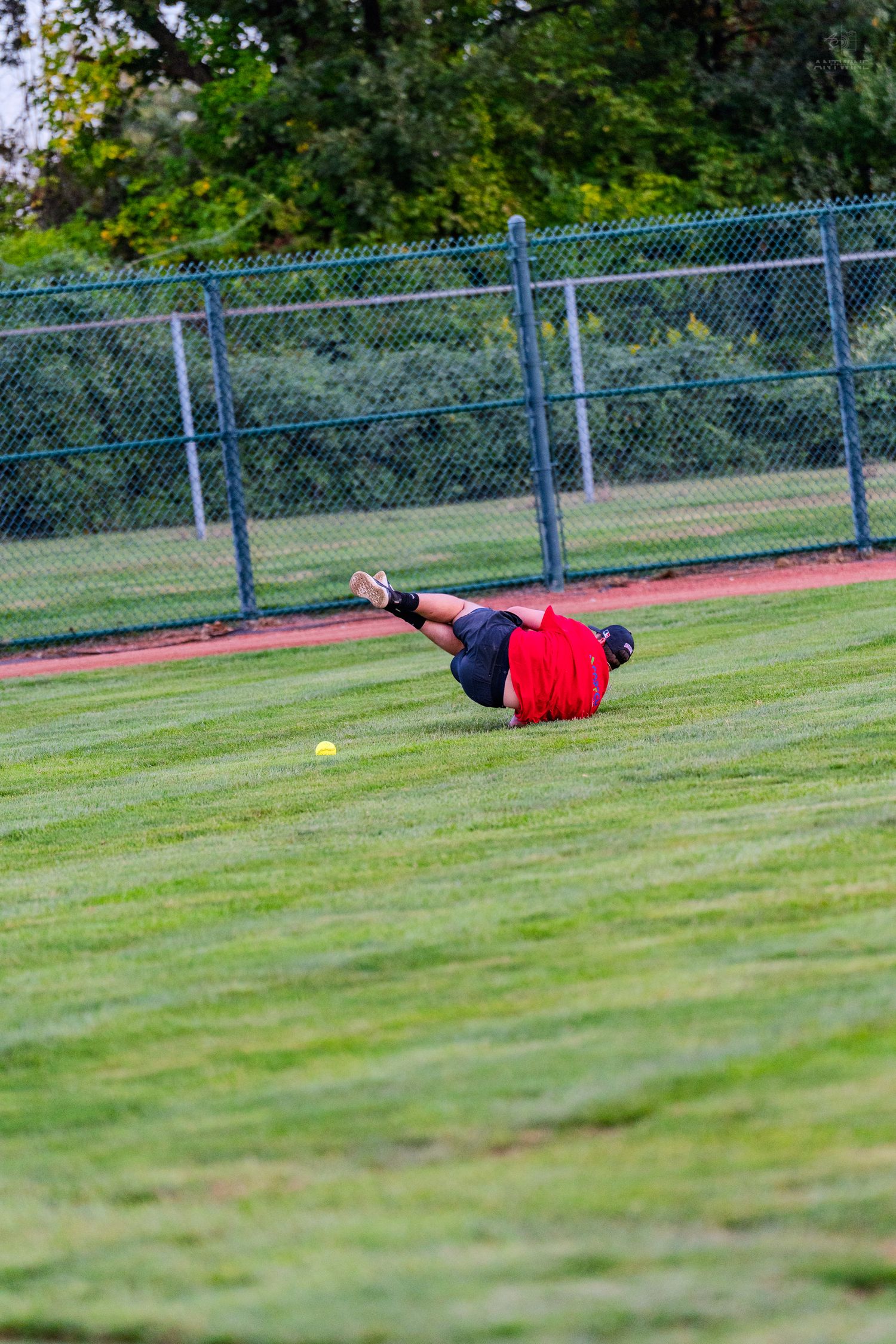 Softball player in red shirt diving to catch a yellow ball on green outfield grass near chain-link fence.