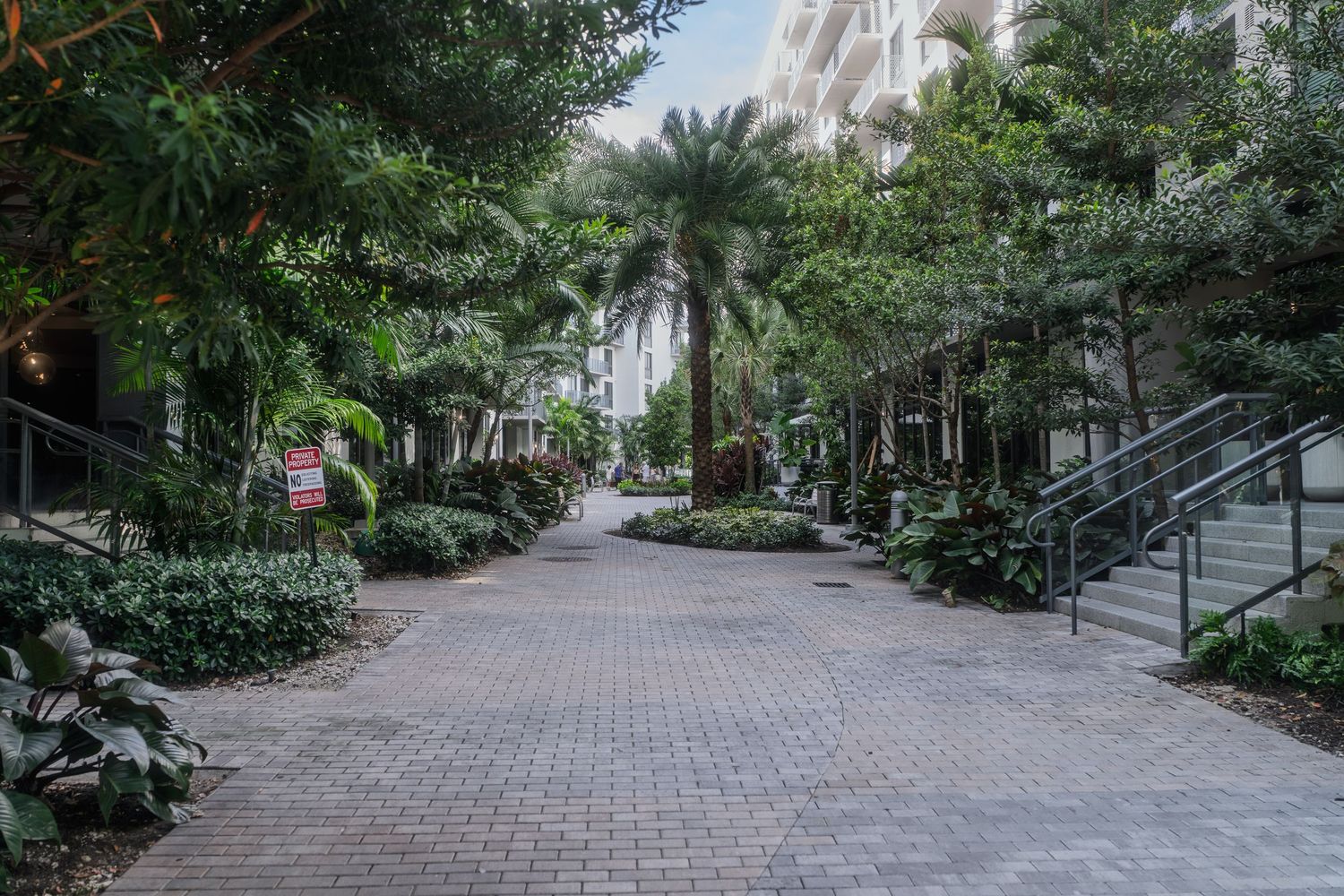 A serene brick pathway lined with lush tropical palm trees and greenery leading to a modern building.
