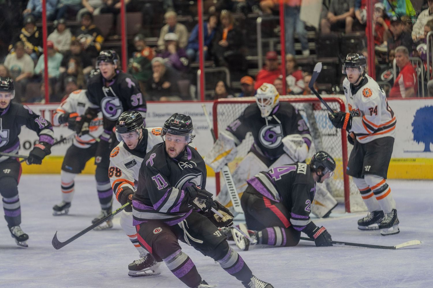 Hockey players scramble near the crease as the goalie defends during a competitive hockey game.