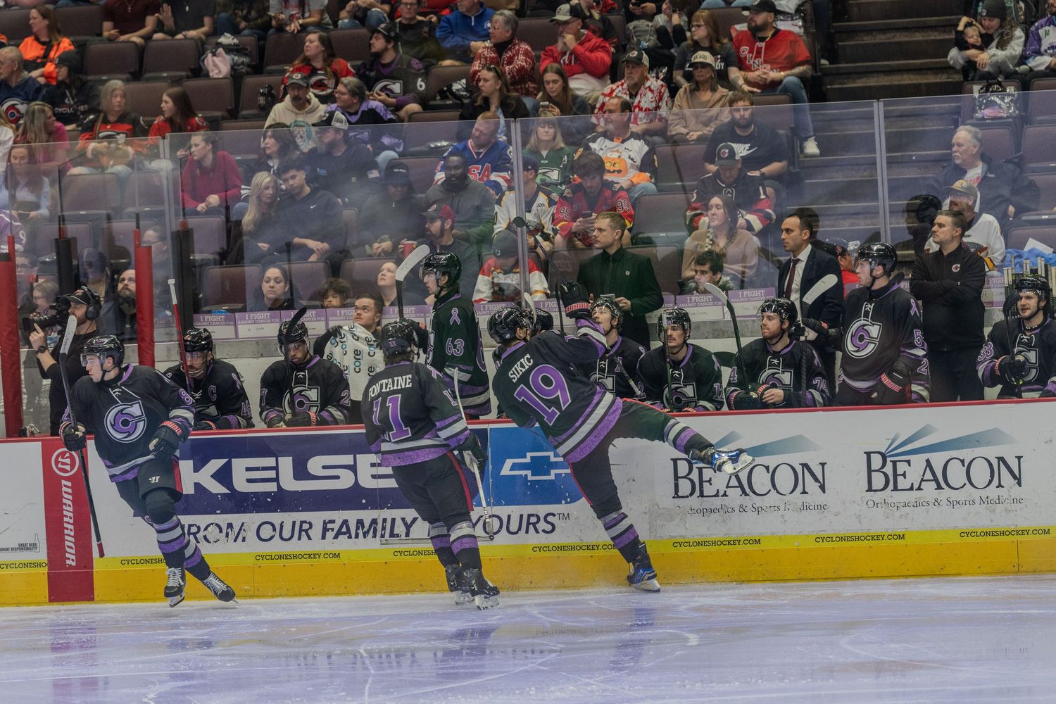 Ice hockey players in purple jerseys celebrate a goal along the boards during an indoor professional hockey game.