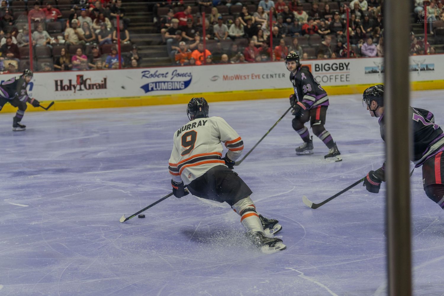 Ice hockey player number 9 handles the puck during a competitive professional hockey game.