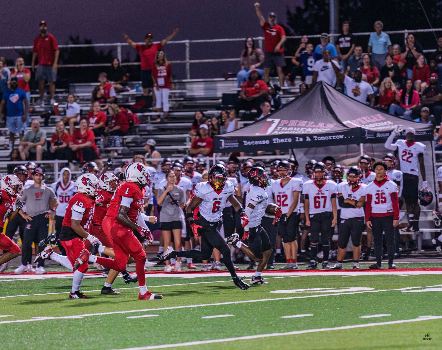 Football player breaks free on a run with packed stadium crowd cheering in the background.
