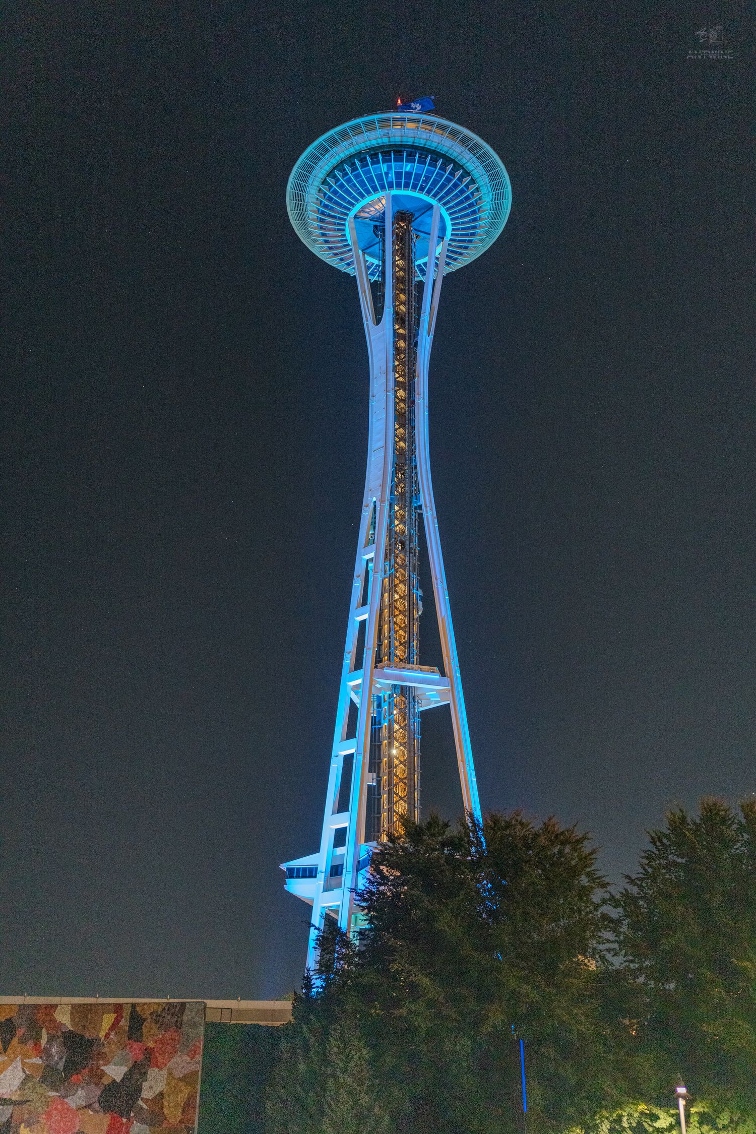 Seattle Space Needle glowing blue at night with trees silhouetted against dark sky.