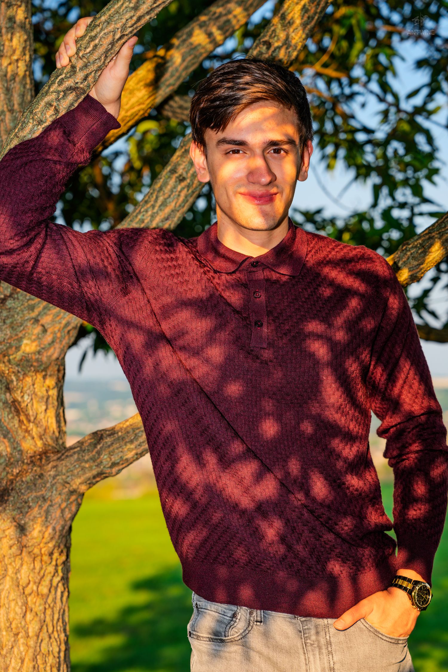 Young man in burgundy sweater leaning against a tree in a sunny park, smiling confidently.