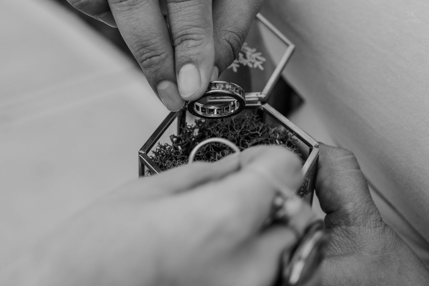 Black and white photo of hands holding a hexagonal glass ring box with two wedding rings on moss.