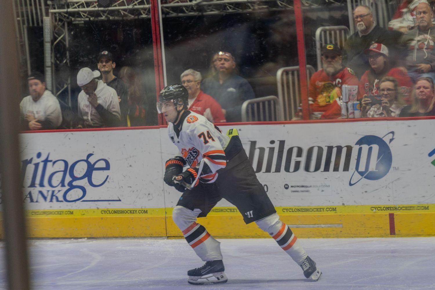 Hockey player number 74 skates during a professional ice hockey game in a full arena.