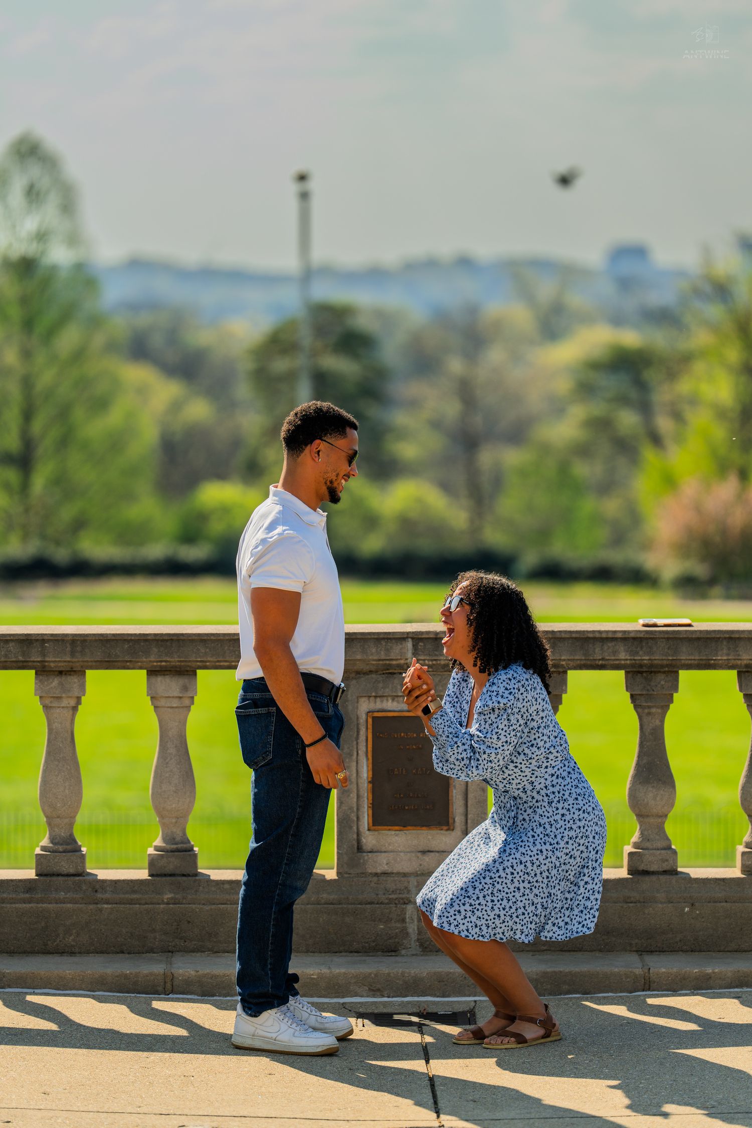Woman kneeling before man in surprise proposal moment by stone railing in sunny park setting.