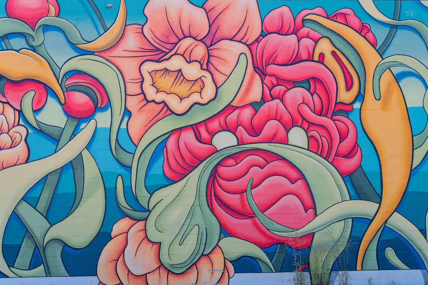Vibrant street art mural featuring large pink and coral flowers with swirling green leaves on a bright blue background.