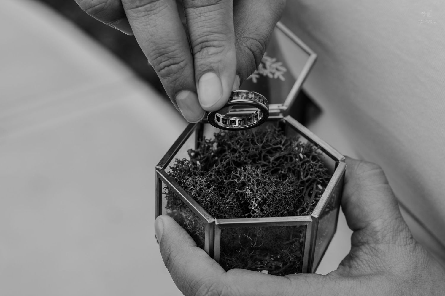 Black and white close-up of two hands placing rings into a geometric glass terrarium box.