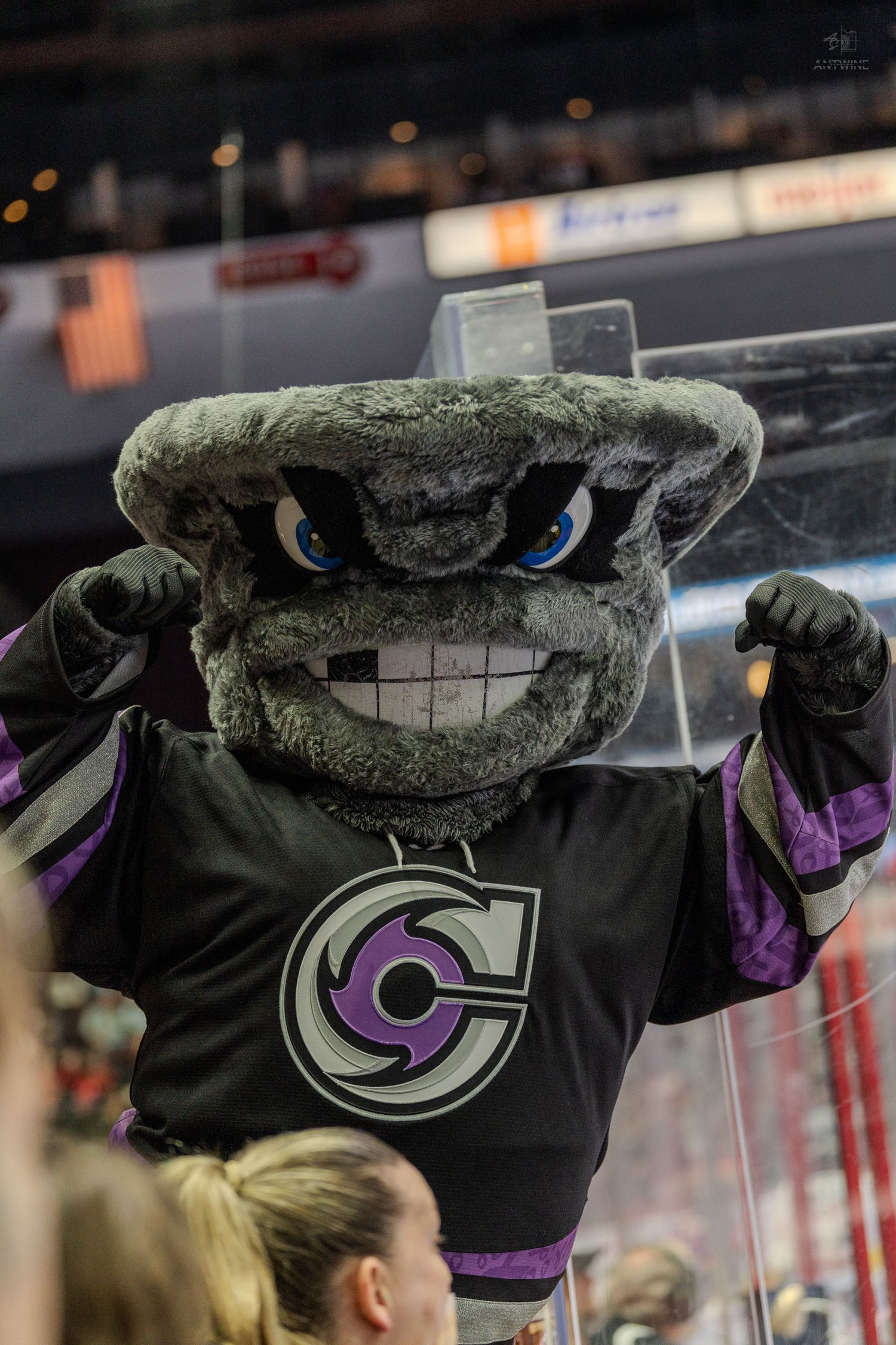 Gray furry hockey mascot in black and purple jersey flexes arms near the glass at a hockey game.