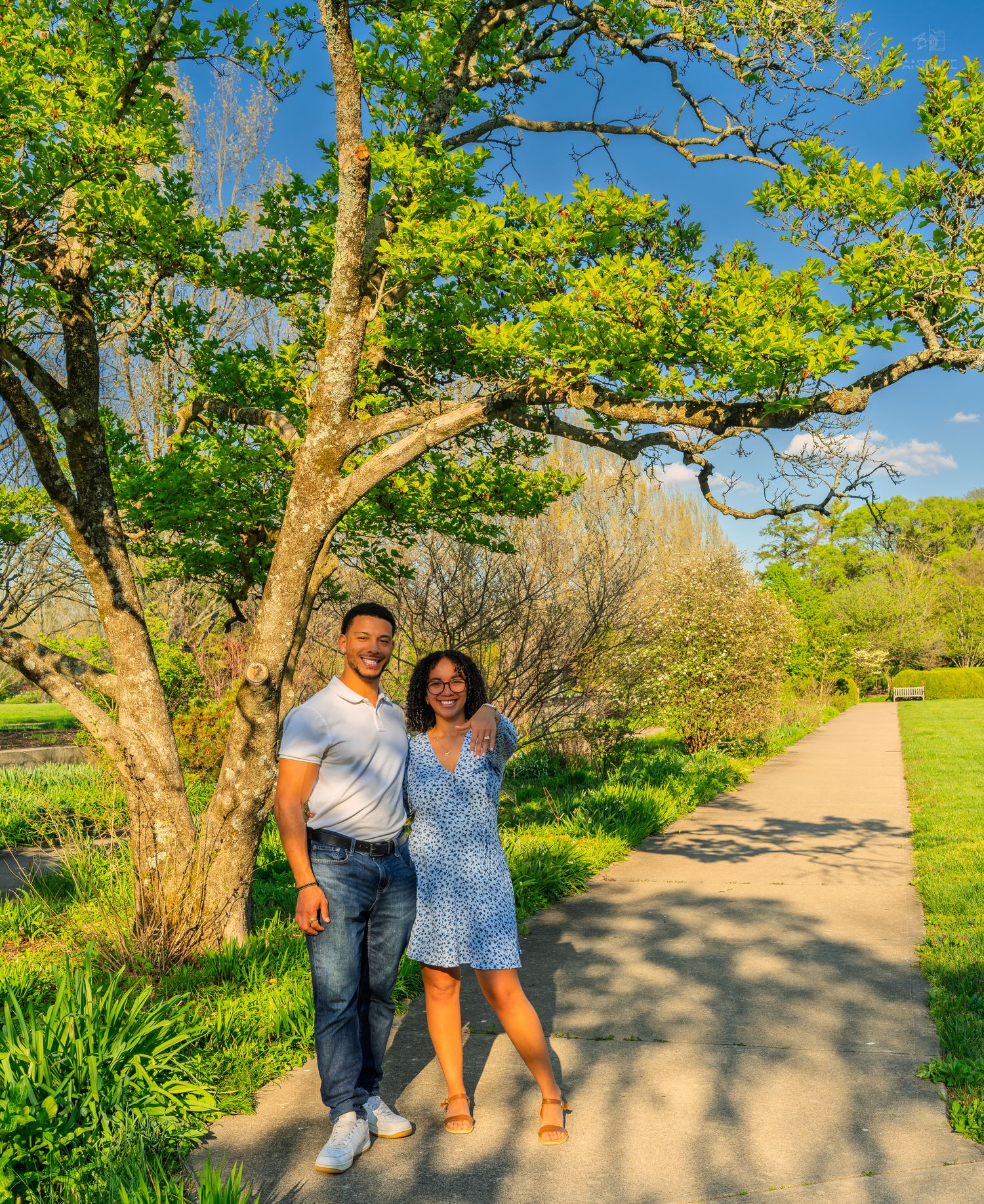 A smiling couple posing together on a scenic park path beneath a large tree in full spring bloom.