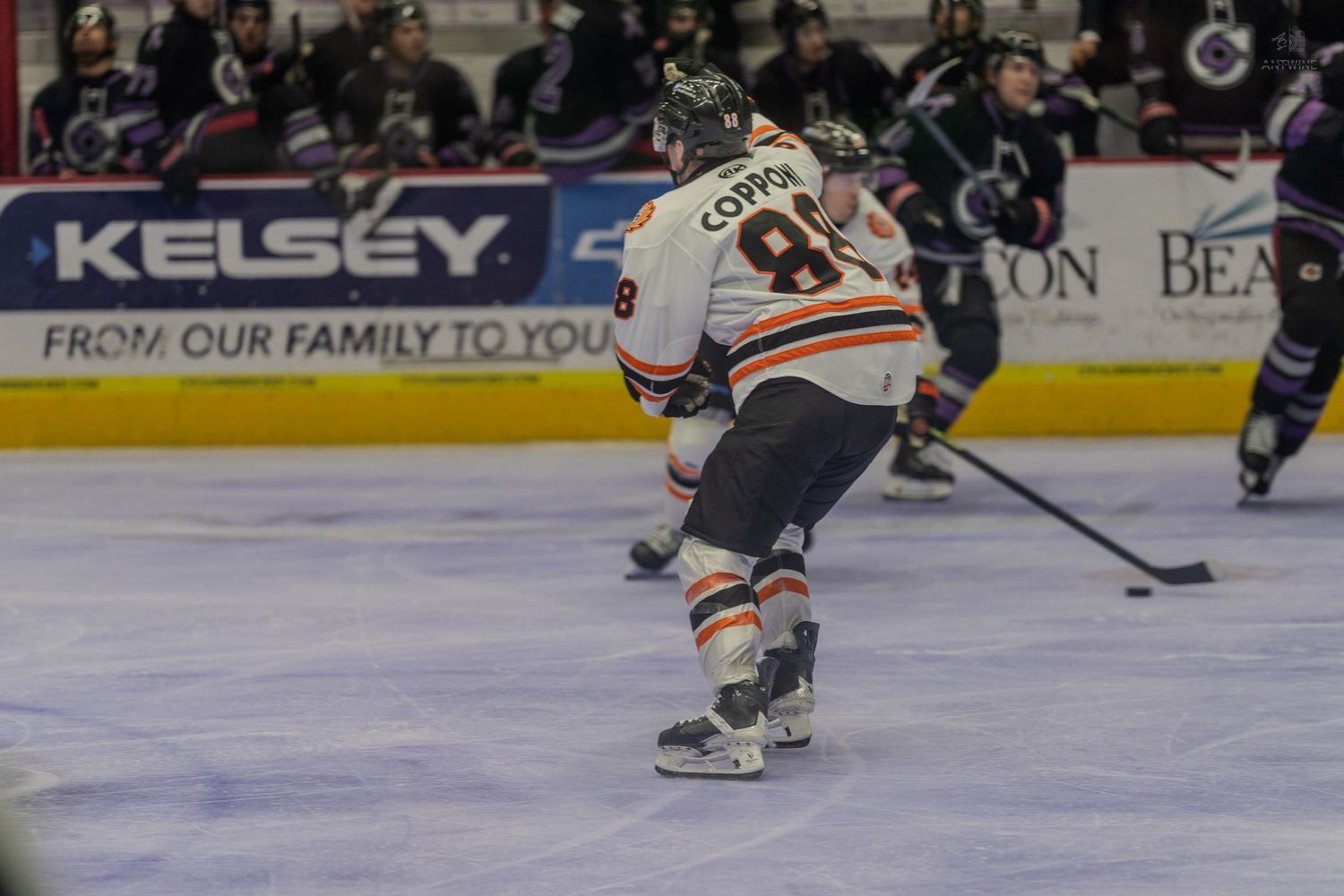 Hockey player wearing number 8 Cotton skates with the puck during a minor league hockey game.