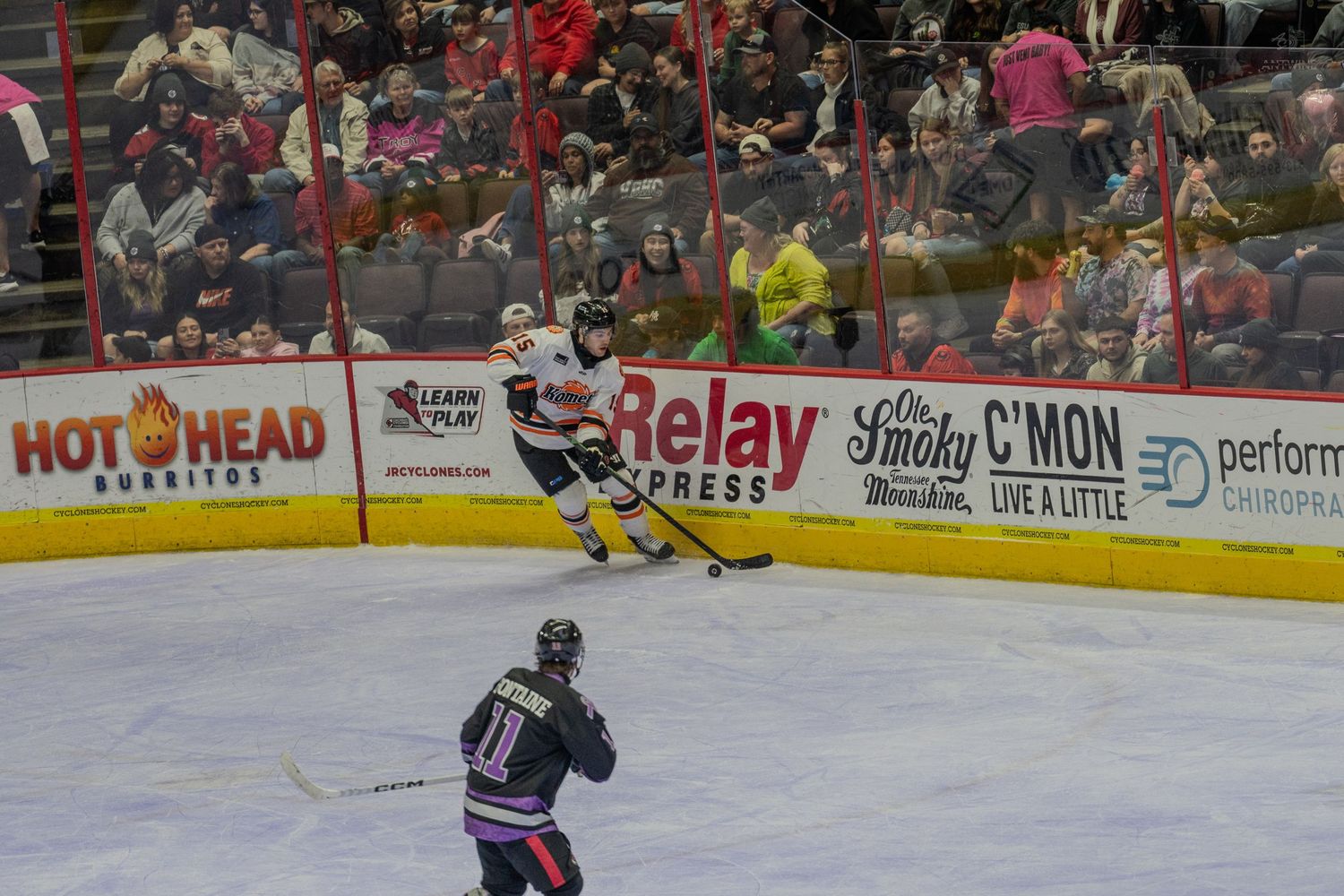 Hockey player takes a shot on goal during a professional indoor ice hockey game with fans in background.