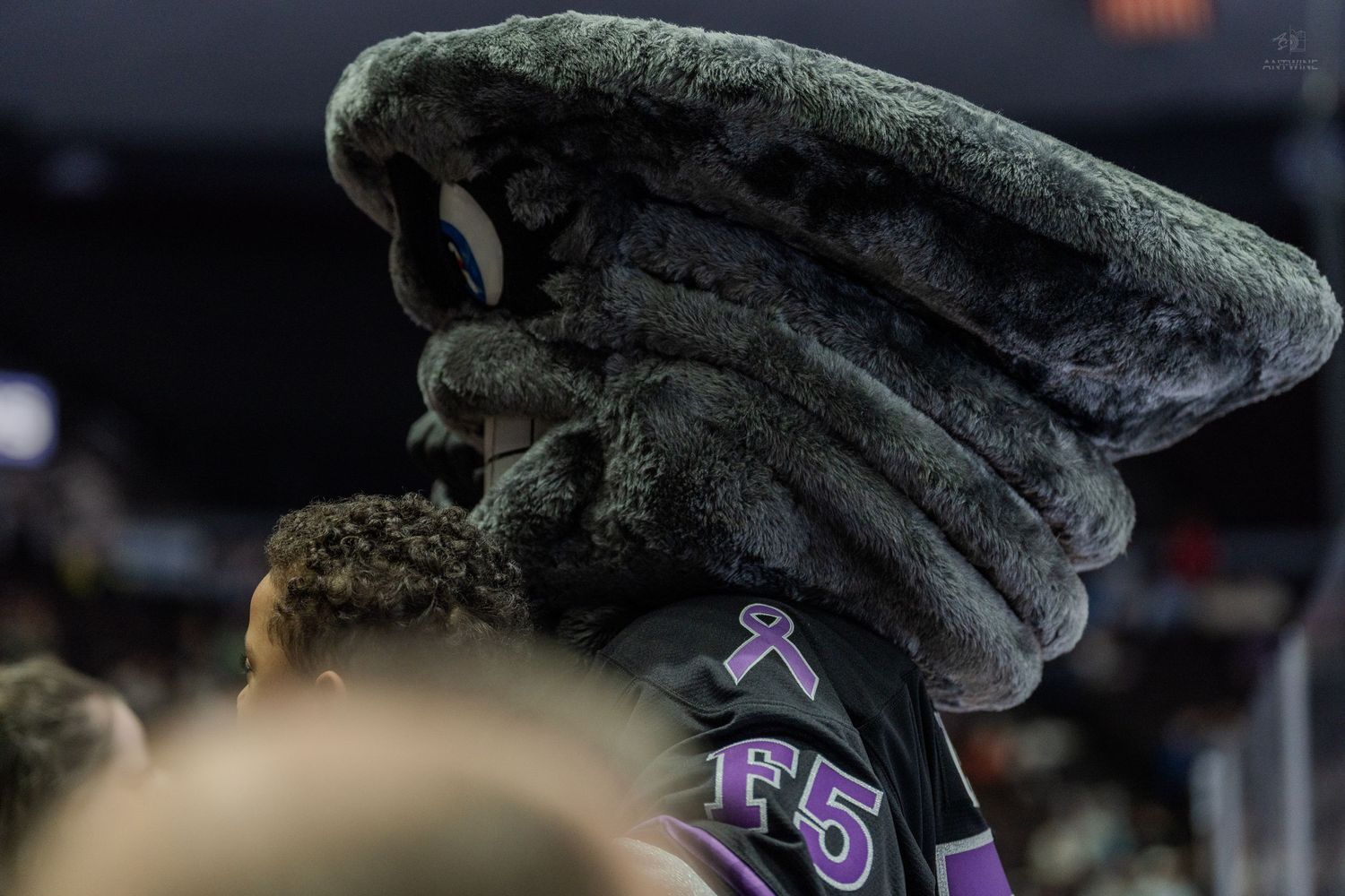 Close-up rear view of a gray furry hockey mascot wearing a black jersey with purple ribbon pin.