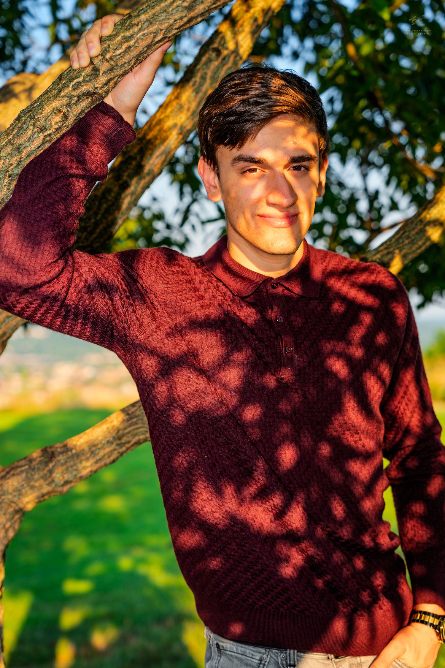 Young man in burgundy sweater leaning against a tree, smiling in golden sunlight with green foliage background.
