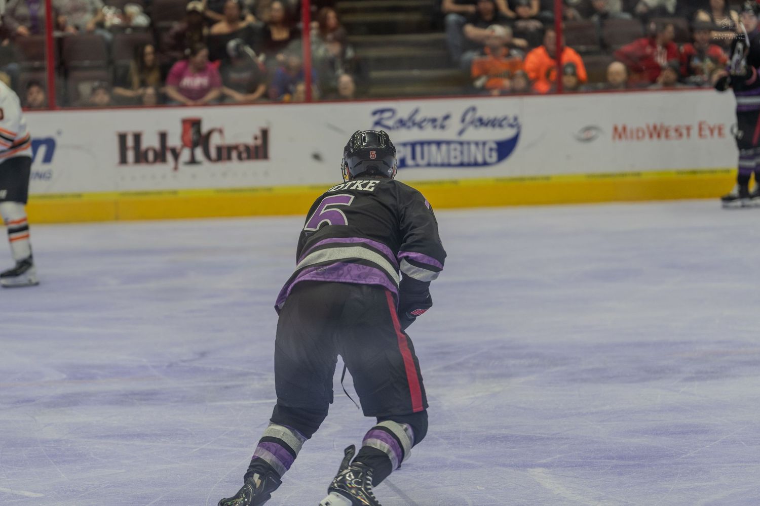 Hockey player in purple and black uniform skates forward with stick during indoor ice hockey game near boards.