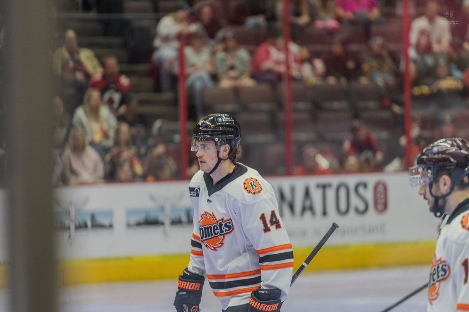 Fort Wayne Komets hockey player number 14 in white jersey stands on ice during a professional hockey game.
