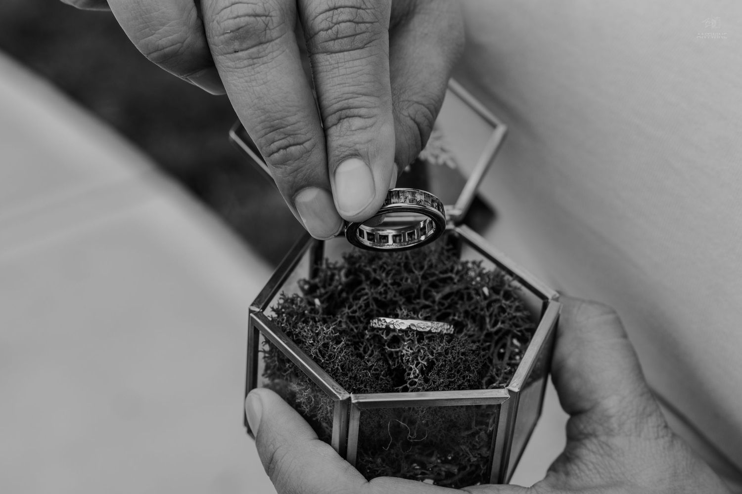 Black and white close-up of hands holding an open hexagonal glass box with a wedding ring on moss.