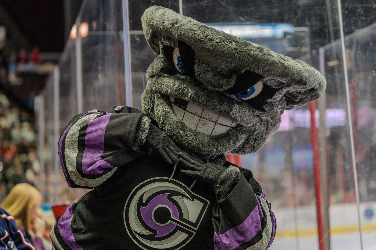Gray furry hockey mascot with blue eyes and toothy grin poses near the boards at a hockey arena.