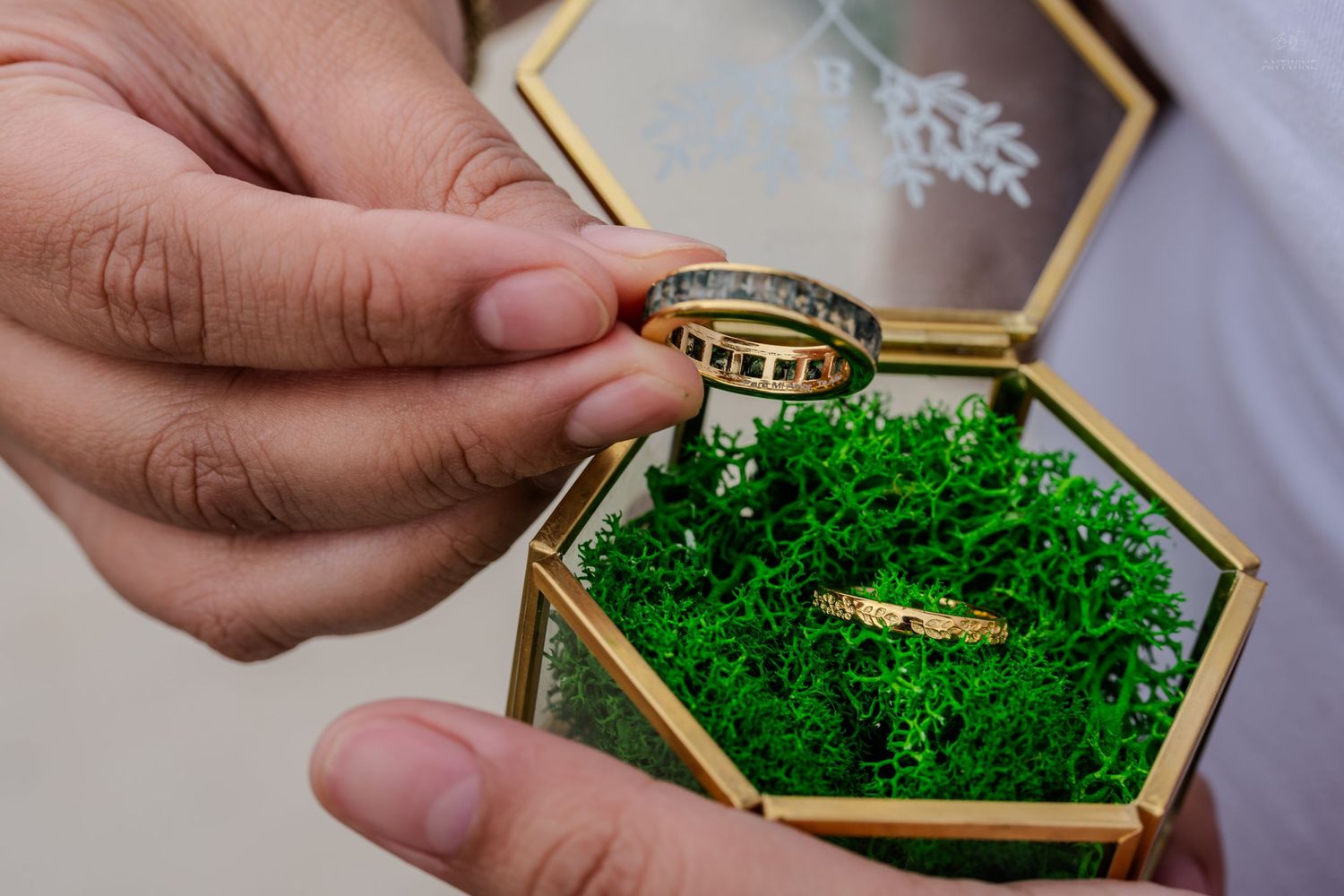 Hands holding a gold wedding band over a hexagonal glass box with green moss and a second ring.