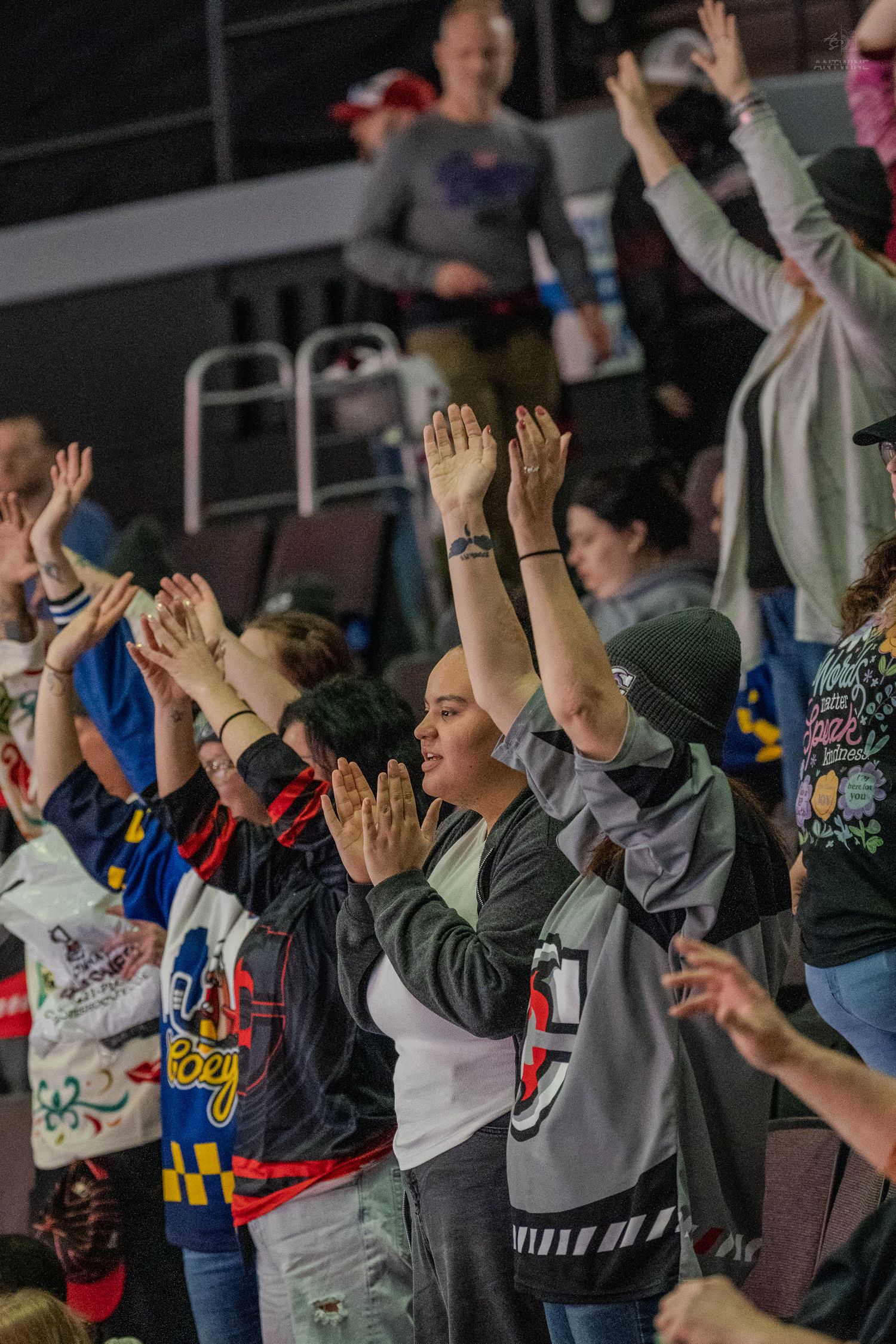 Enthusiastic crowd raising hands at a live hockey game in an indoor arena.