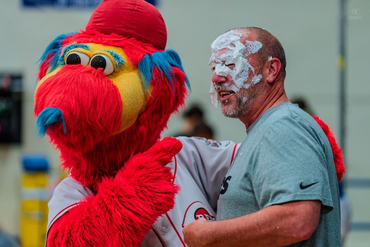 A man with a pie on his face laughs with a red bird mascot at a baseball event.