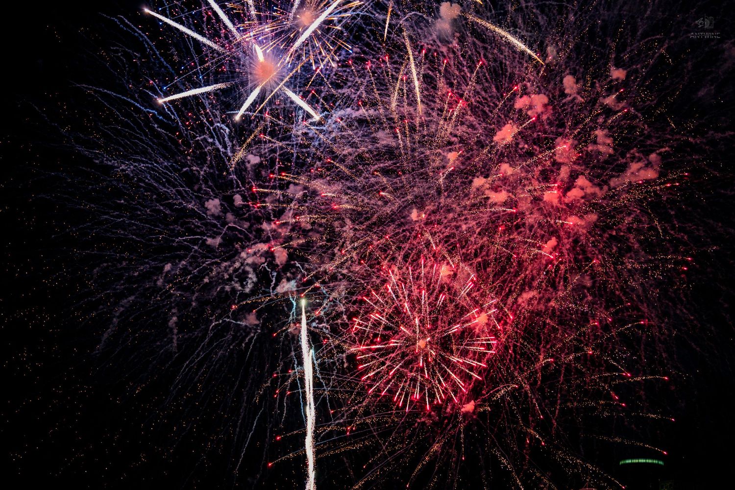 Vibrant red and purple fireworks display exploding against a dark night sky in a dazzling show.
