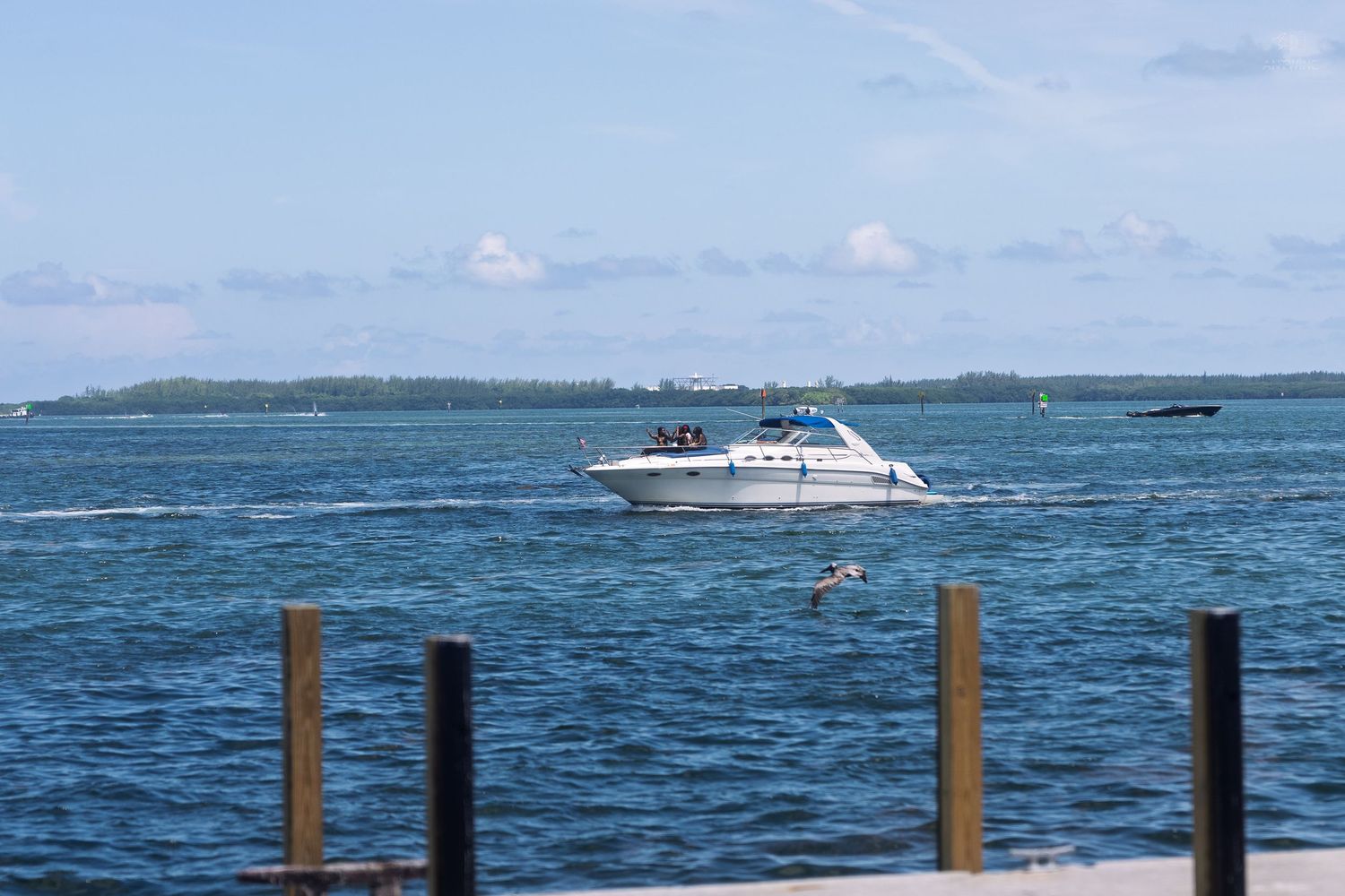 White luxury motorboat cruising on calm blue waters near a marina dock on a clear sunny day.
