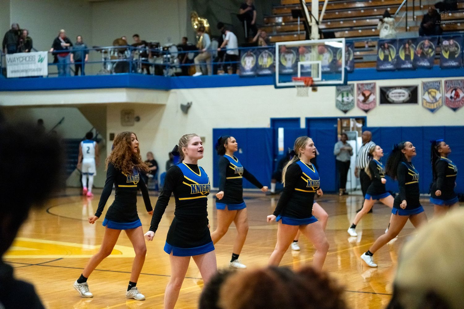 Knights cheerleaders in blue and gold uniforms perform routine during basketball game.