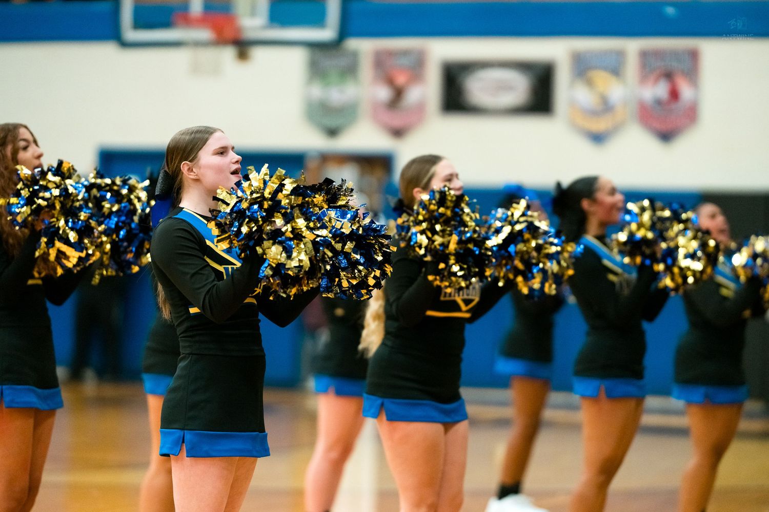 High school cheerleader cheers enthusiastically with gold and black pom-poms during a basketball game.
