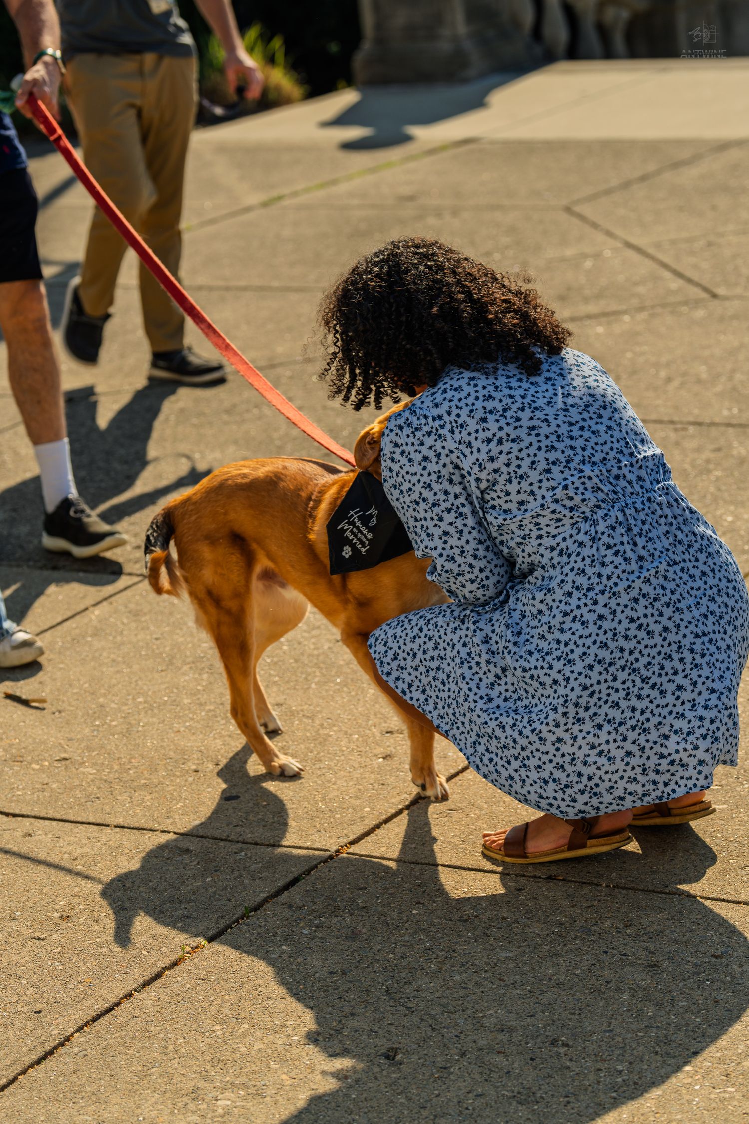 A woman with curly hair in a floral dress crouches to interact with a small brown dog on a leash.