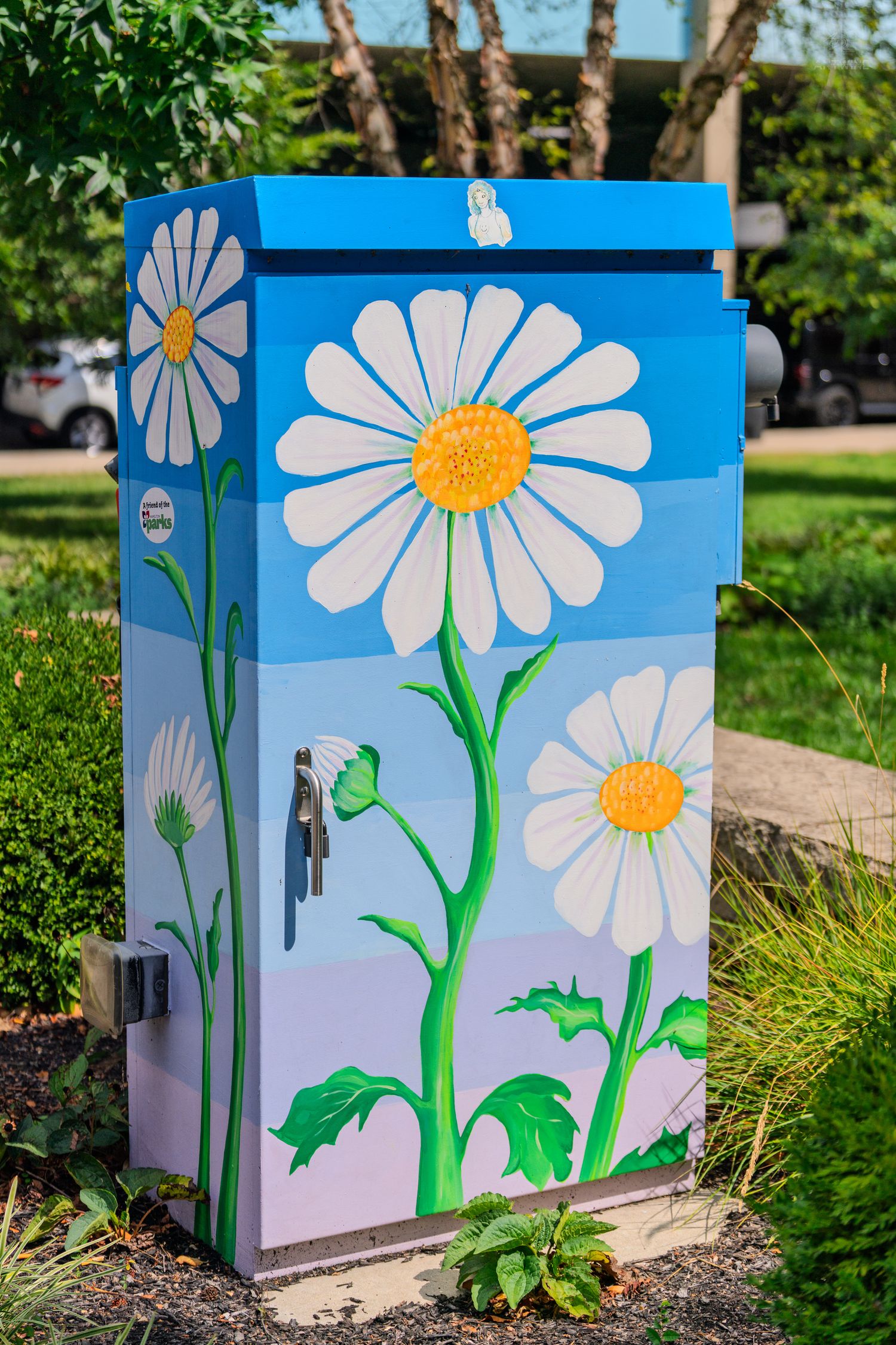 Colorful utility box painted with white daisy flowers on blue background outdoors.