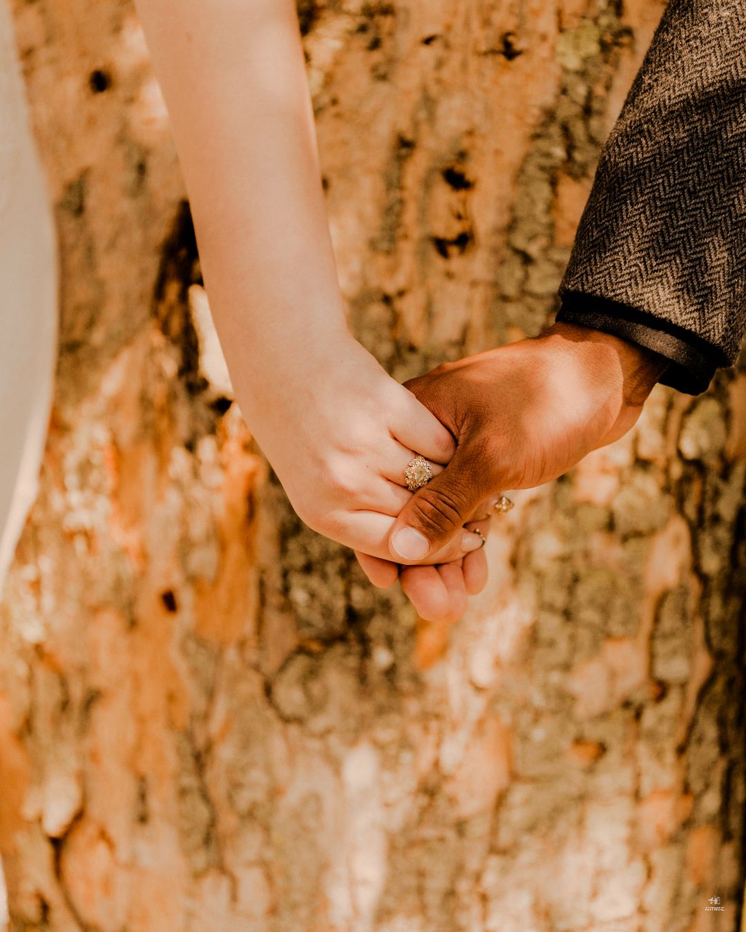 Close-up of interracial couple holding hands with wedding rings near rustic tree bark.