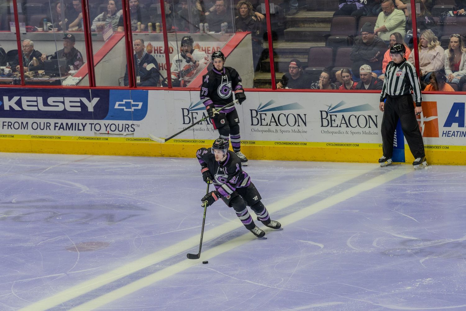 Hockey player controls the puck on ice during a minor league game with fans and rink advertisements visible.