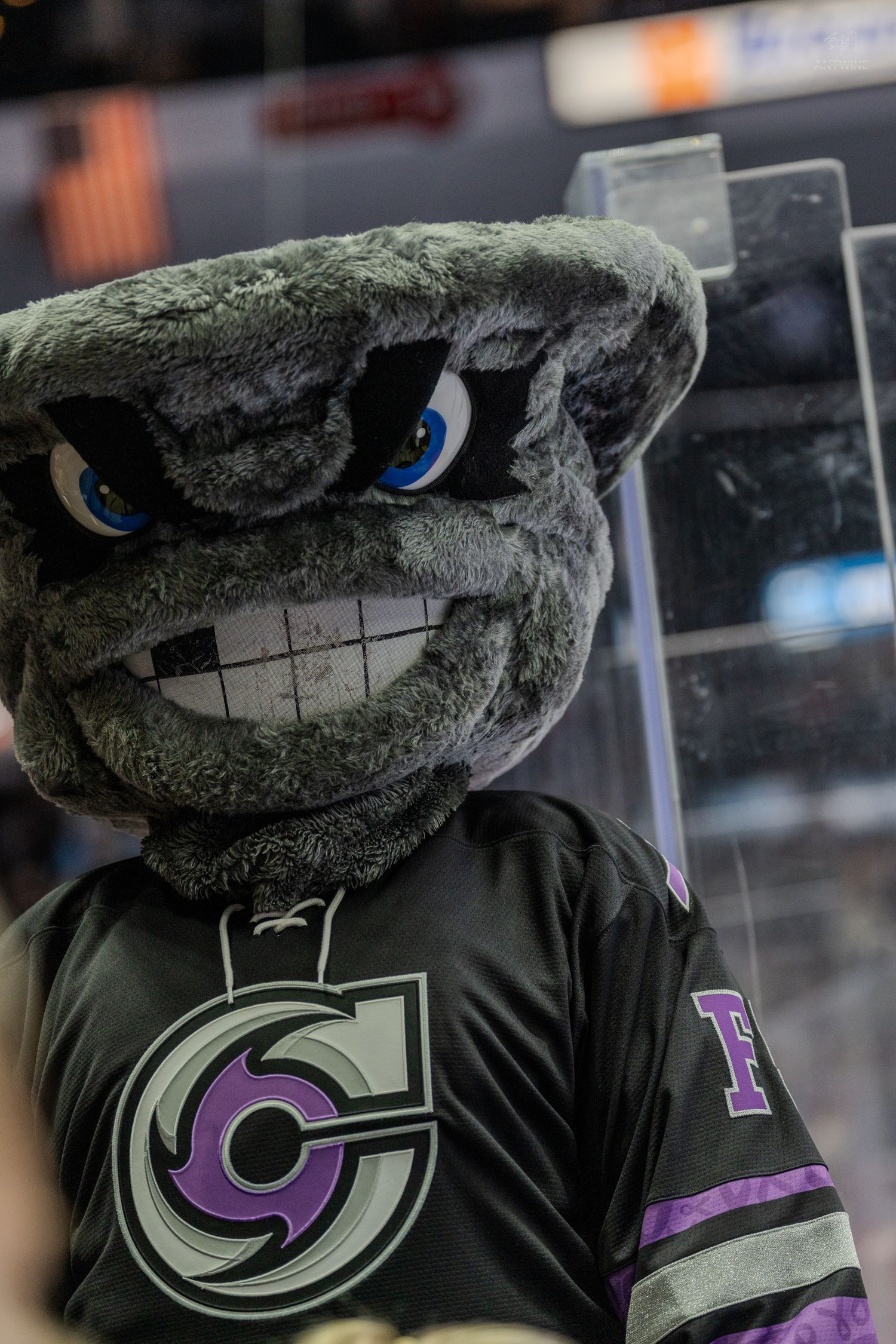 Gray furry hockey mascot with blue eyes and toothy grin poses next to the glass at a hockey arena.