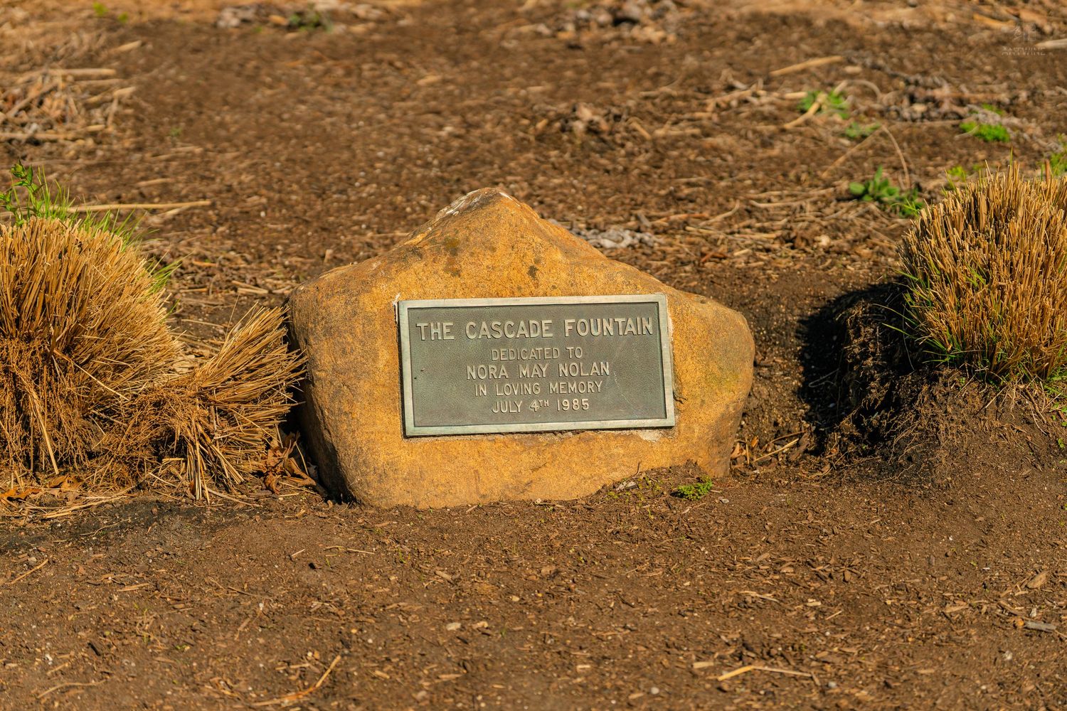 Bronze dedication plaque for The Cascade Fountain mounted on a natural stone boulder surrounded by ornamental grasses.