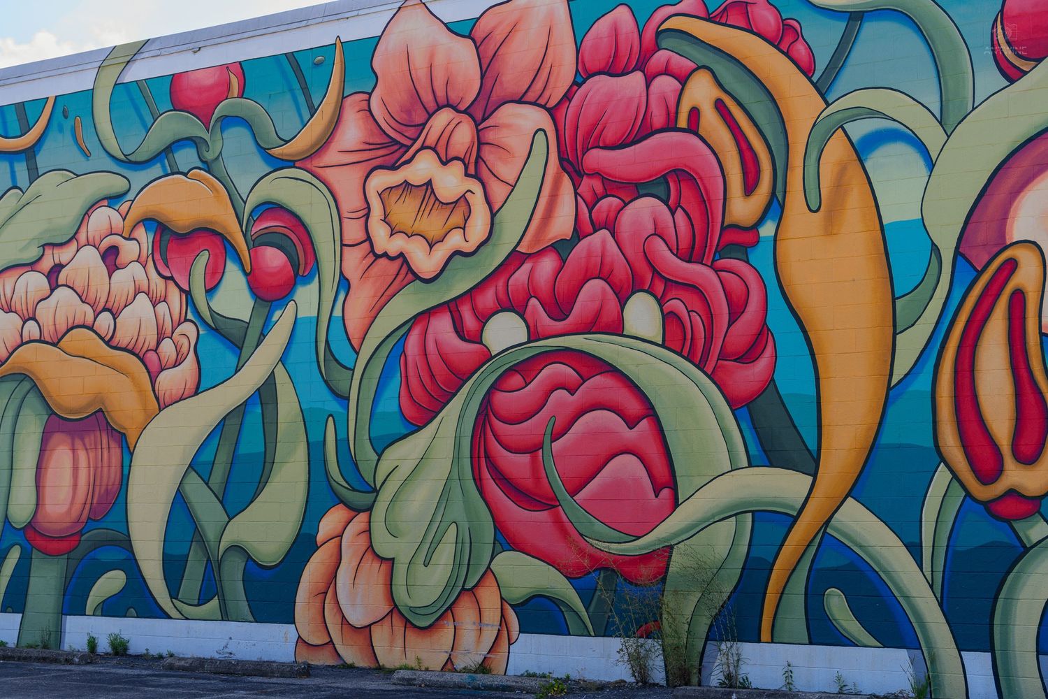 Vibrant floral mural on a building wall featuring large pink and red blooms with green stems on a blue background.