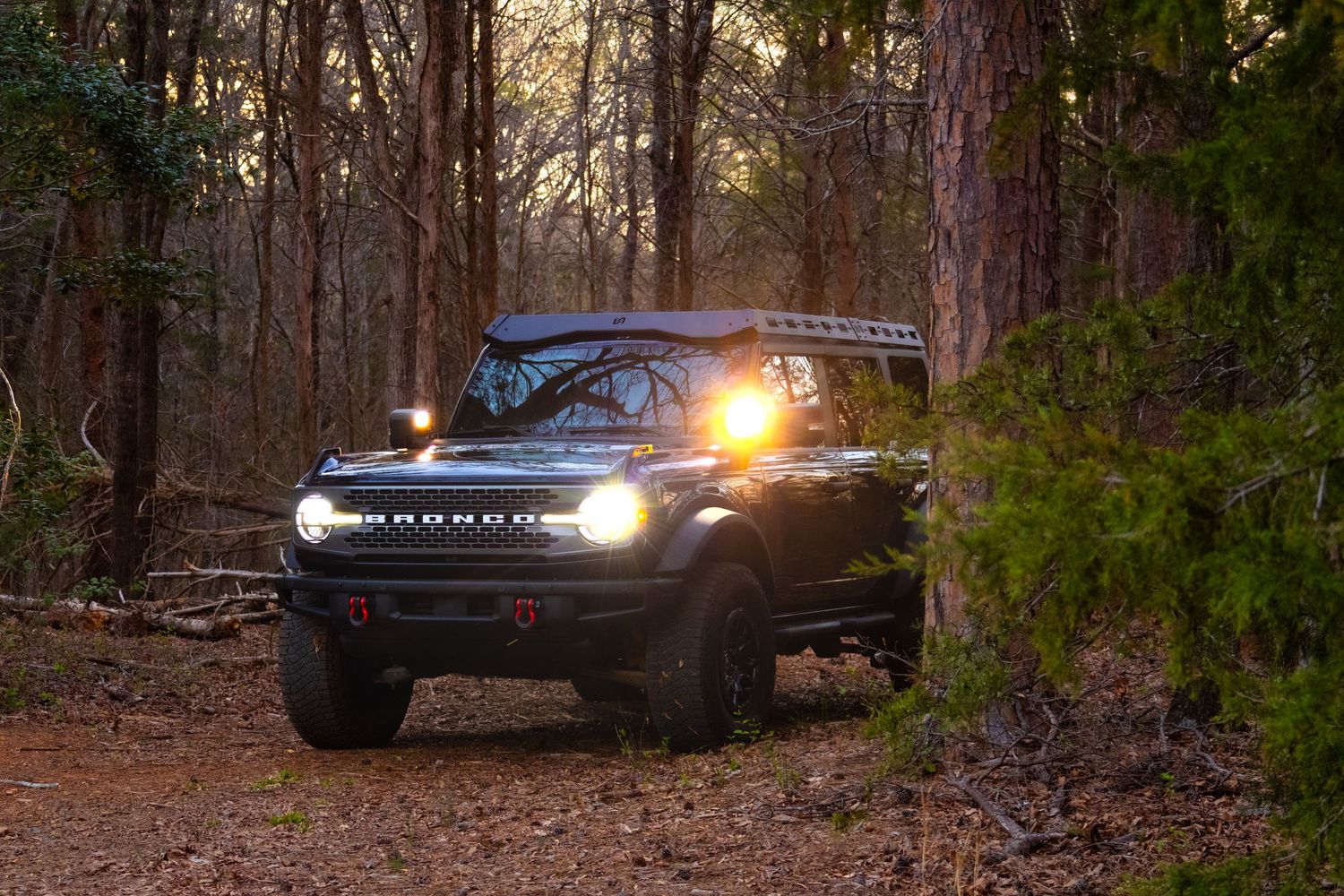 Ford Bronco next to tree with lights on.