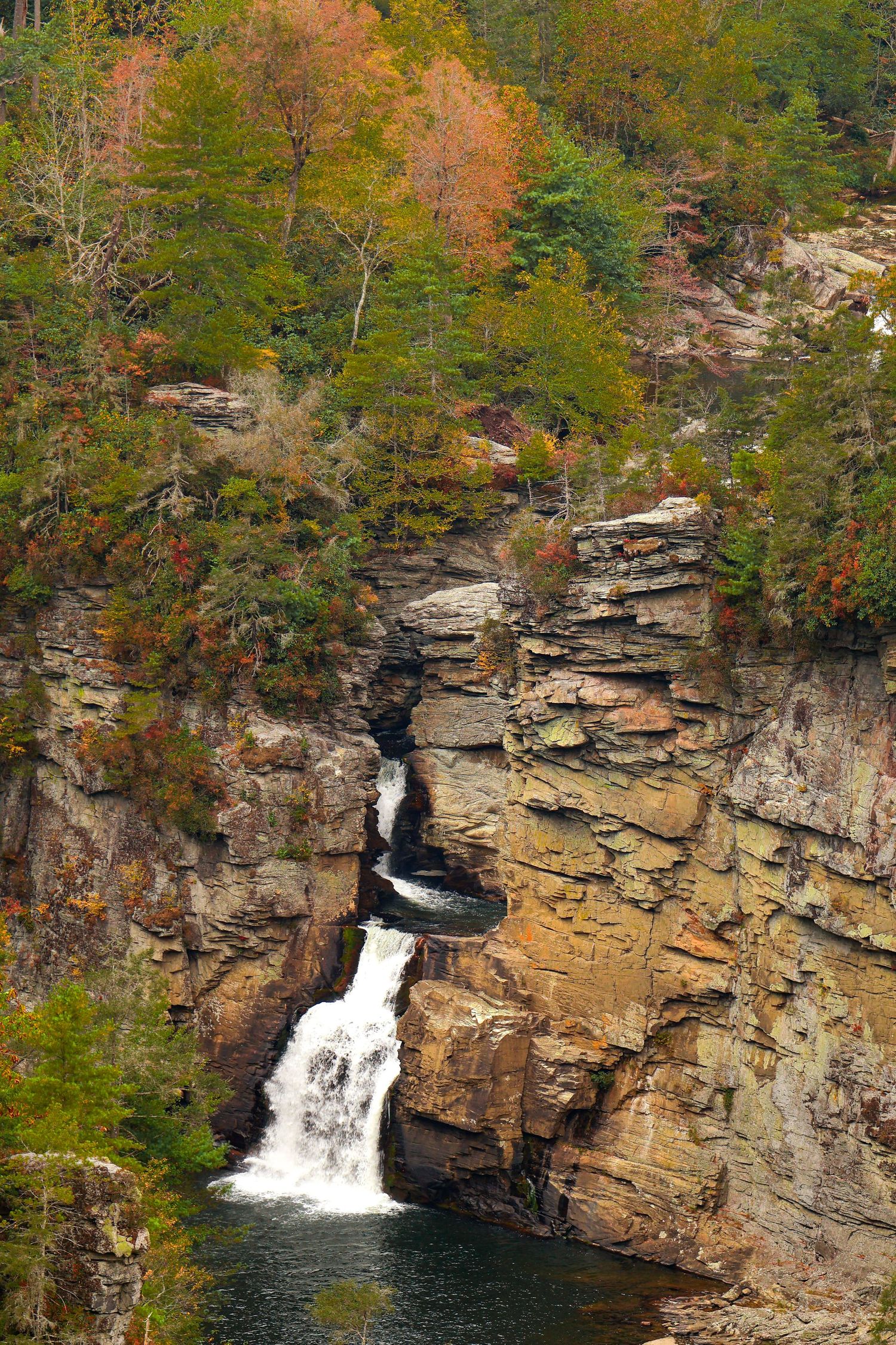 A vlong shot photo of a waterfall deep in the 
Pisgah National Forest.