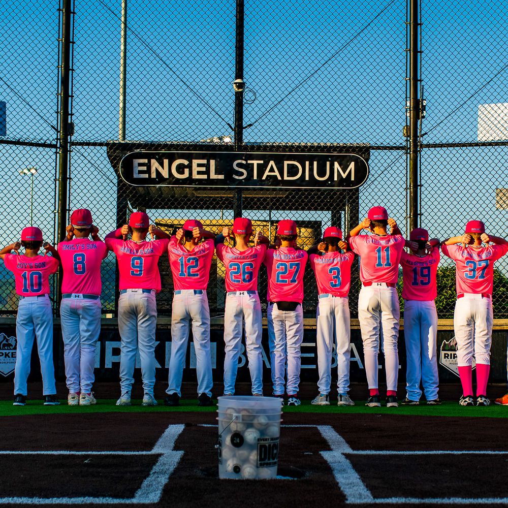 Team Photos in Hunsville AL, Madison AL, Northern AL, Southern TN.  Banners, Memory Mate, Merchandise.  Packages Available.