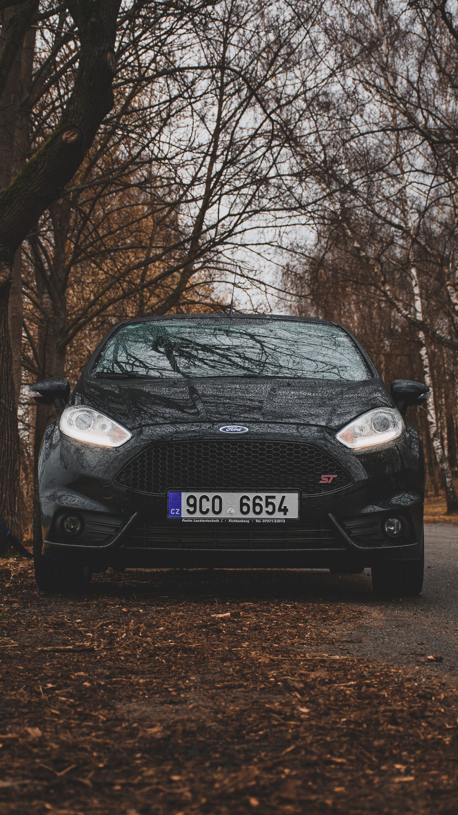 Black Ford Fiesta ST parked on a leaf-covered road surrounded by bare autumn trees.
