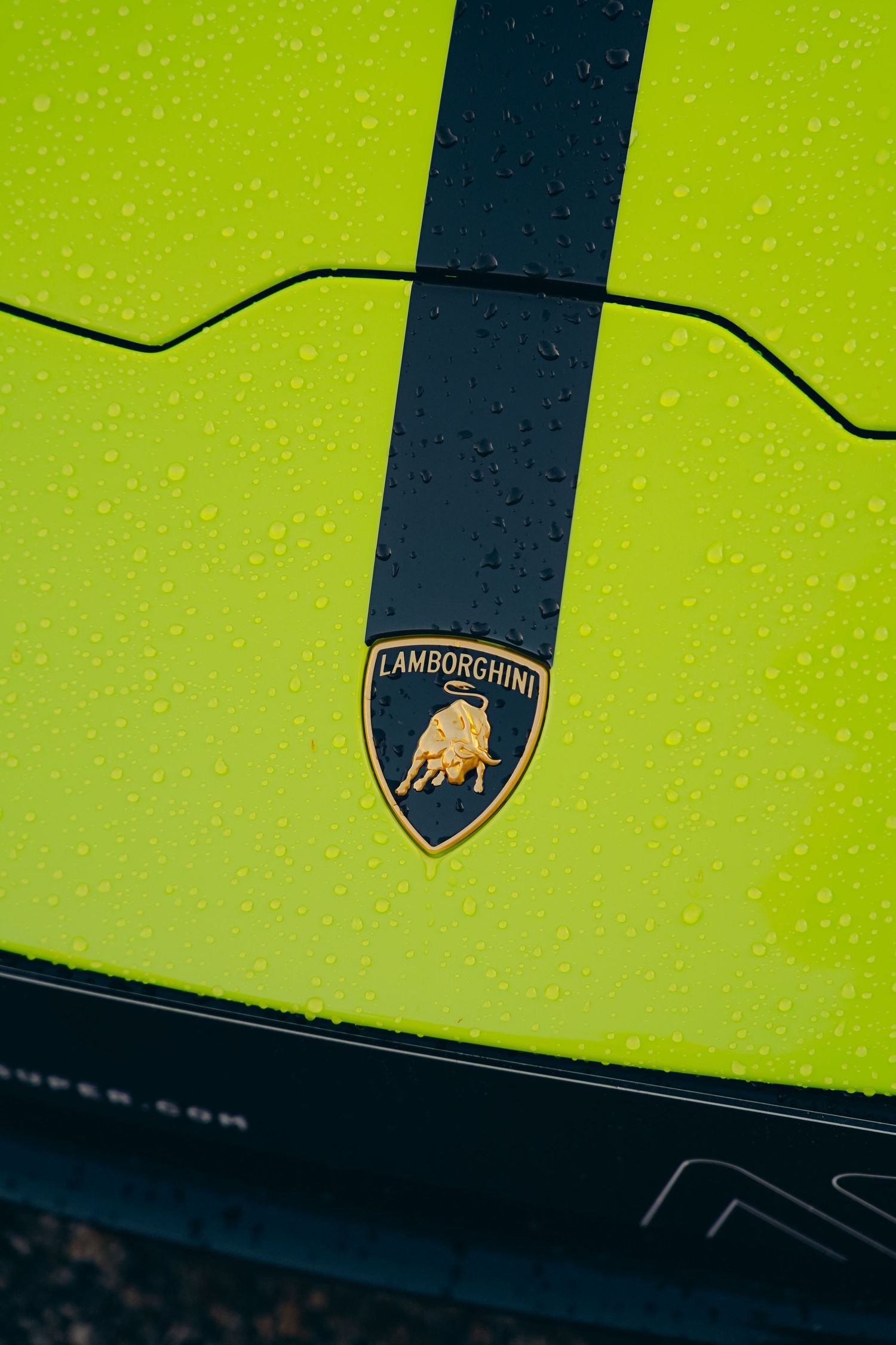 Close-up of Lamborghini badge on lime green hood with dark racing stripe and rain droplets.